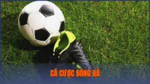 Cá cược bóng đá