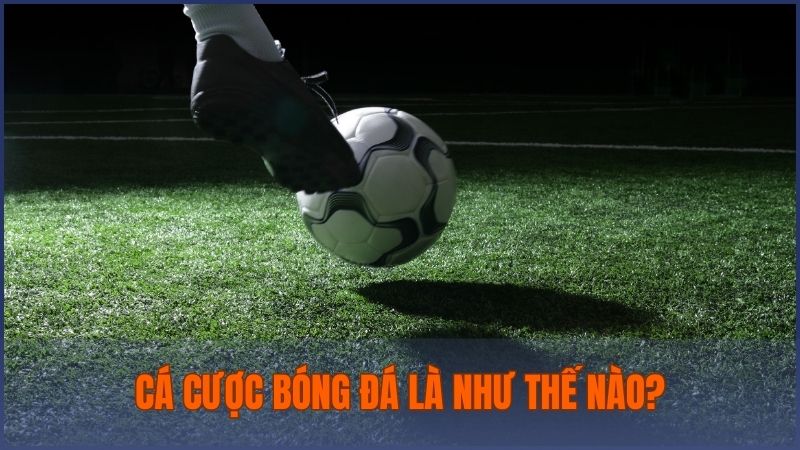 Cá cược bóng đá là hình thức dự đoán kết quả và đặt cược trên một trận đấu cụ thể