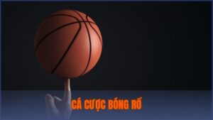 Cá cược bóng rổ