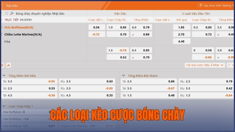 Những loại kèo cược bóng chày phổ biến được yêu thích nhất hiện nay