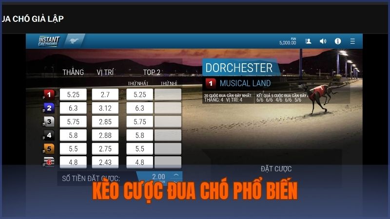 Những loại kèo cược hấp dẫn nhất trong đua chó hiện nay