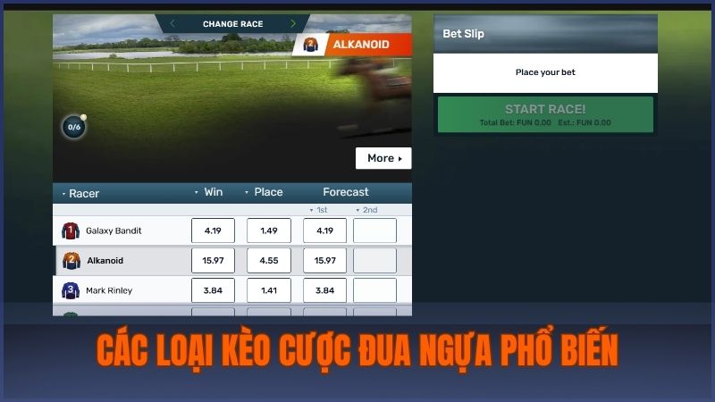 Những loại kèo cá cược đua ngựa thịnh hành nhất trên bảng kèo nhà cái