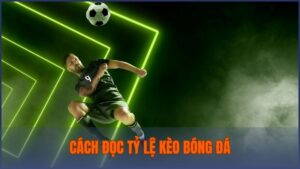 cách đọc tỷ lệ kèo