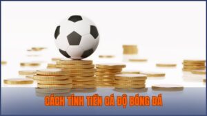 cách tính tiền cá độ bóng đá
