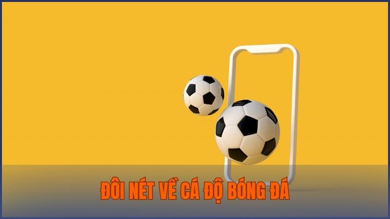 Cá độ bóng đá là hình thức đặt cược dựa trên kết quả của một trận đấu nhất định