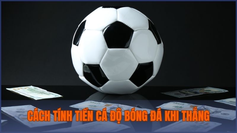 Hướng dẫn chi tiết cách tính tiền cá độ bóng đá dễ hiểu khi giành chiến thắng
