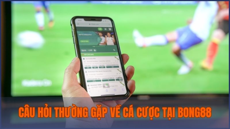 Trả lời tất cả thắc mắc phổ biến về thao tác cá cược tại Bong88