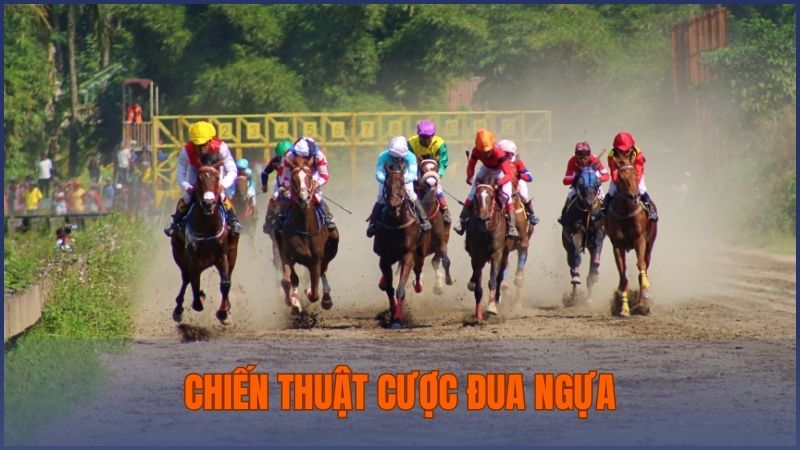 Bật mí chiến thuật cá cược dễ thắng trong bộ môn này dành cho người mới