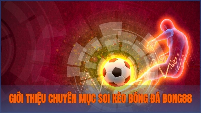 Chuyên mục soi kèo bóng đá Bong88 là dữ liệu cần thiết hỗ trợ người cơi cá cược bóng đá