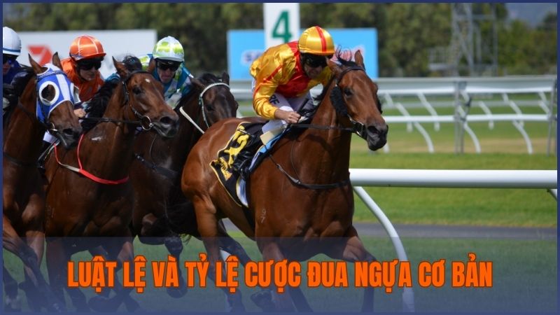 Chia sẻ luật lệ và tỷ lệ cược thường được nhà cái đưa ra