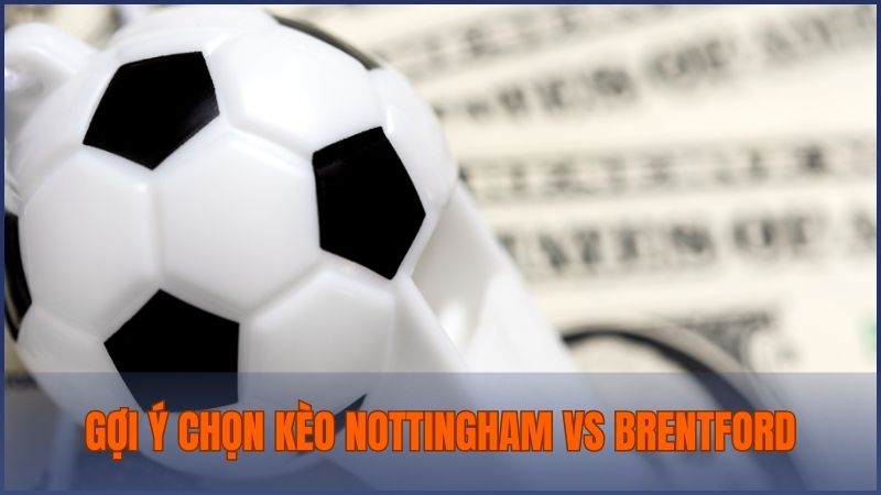 Soi kèo Nottingham vs Brentford gợi ý chọn kèo chi tiết từ Bong88