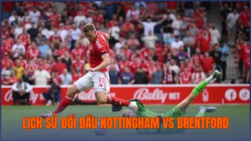 Đánh giá về lịch sử đối đầu của Nottingham vs Brentford trong 10 lần gặp nhau gần đây