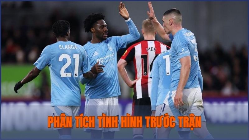 Phân tích tình hình lực lượng và phong độ của Nottingham vs Brentford
