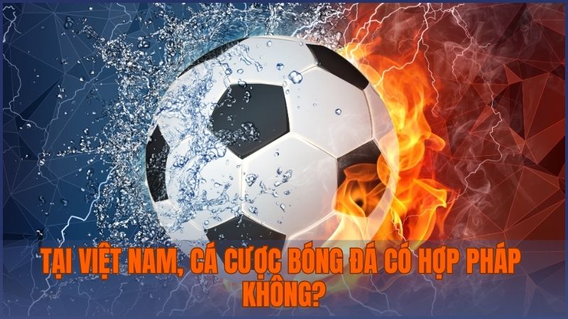 Vậy tại Việt Nam, cá cược bóng đá có hợp pháp không?