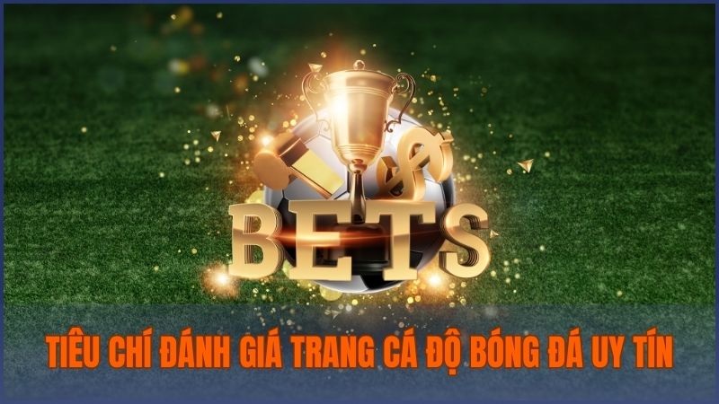 Tiêu chí để đánh giá chính xác một trang cá cược bóng đá đảm bảo uy tín