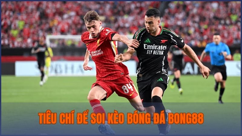 Những tiêu chí để chuyên gia Bong88 đưa ra nhận định, soi kèo cho từng trận đấu