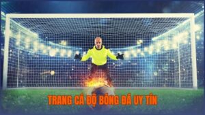 trang cá độ bóng đá uy tín
