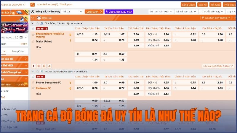 Trang cá độ bóng đá uy tín là nền tảng đáng tin cậy và hợp pháp